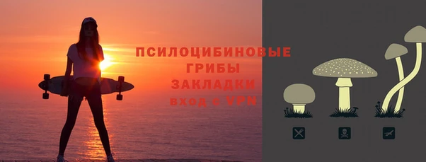 спиды Елабуга