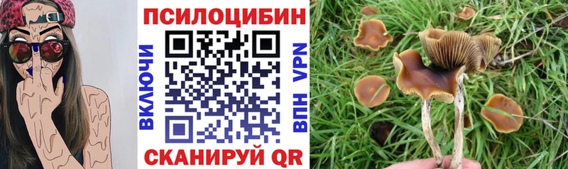 Купить где  Шенкурск  Галлюциногенные грибы Magic Shrooms 